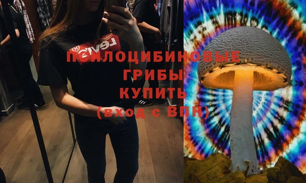 спайс Билибино